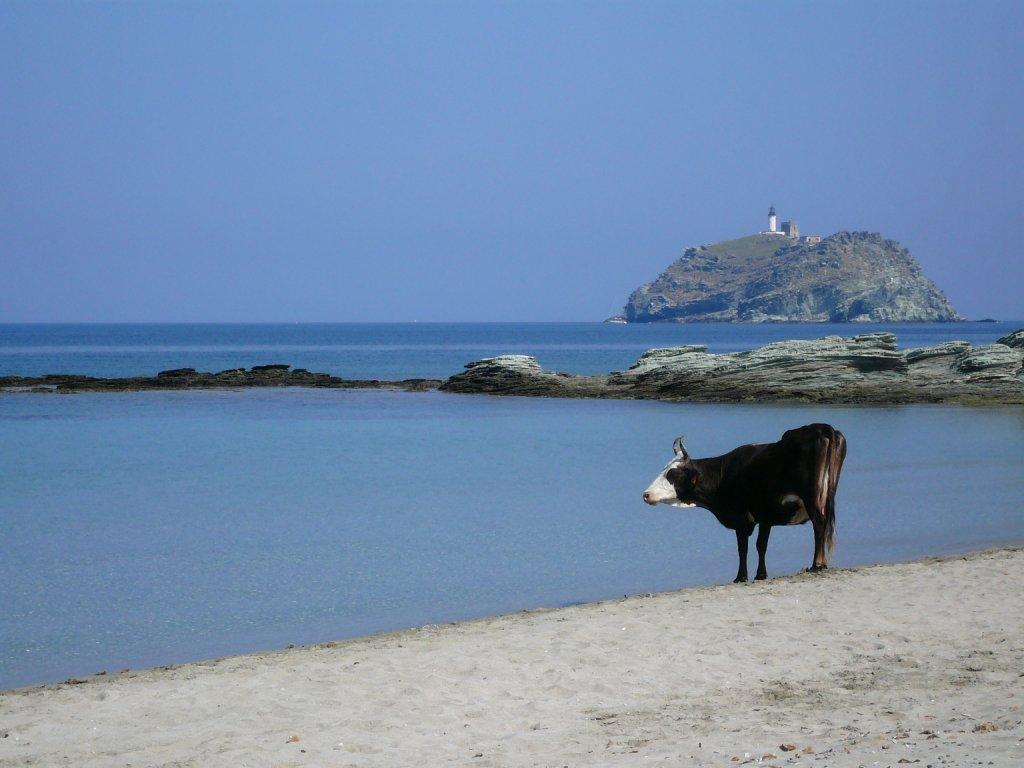 Hotel U Ricordu & Macinaggio (Corsica)